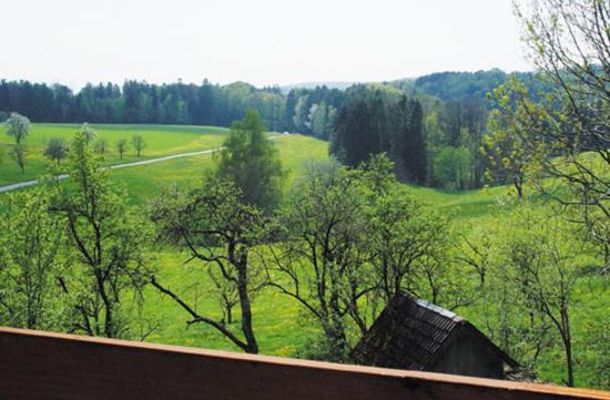 Gasthaus Zur Krone Freiamt Δωμάτιο φωτογραφία